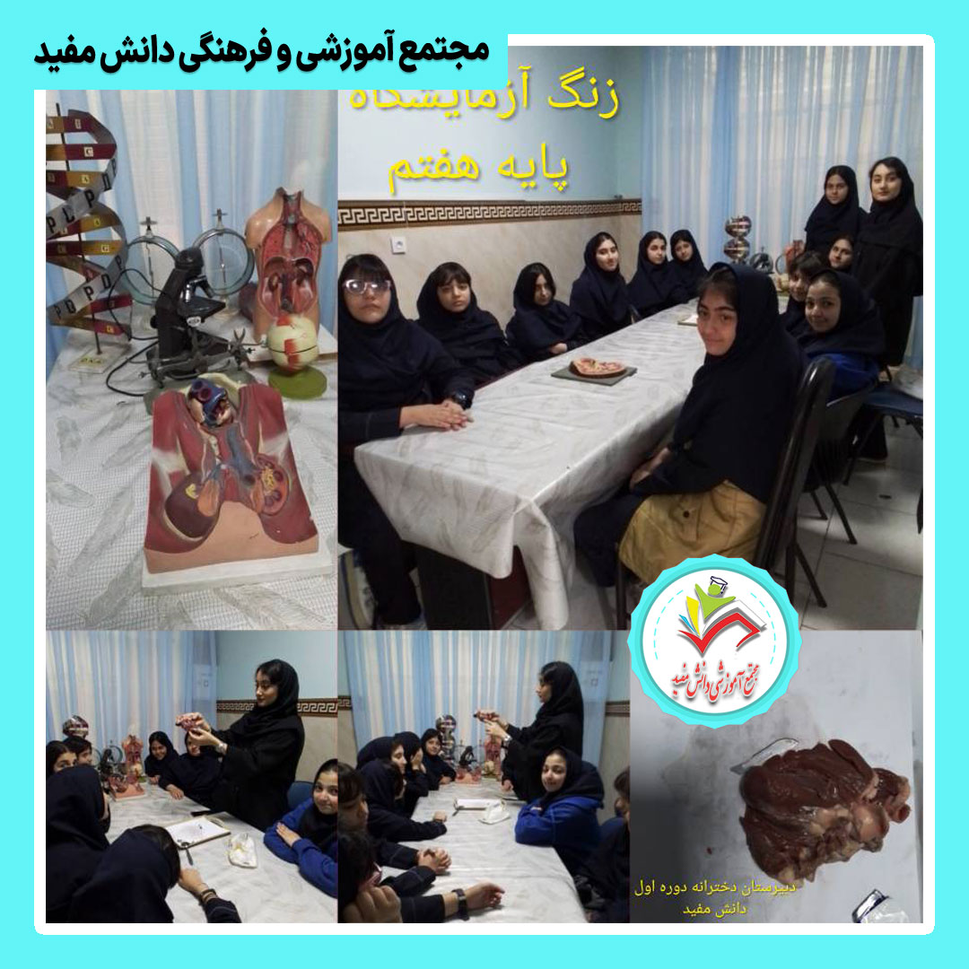 زنگ آزمایشگاه: تحلیل قلب موجود زنده