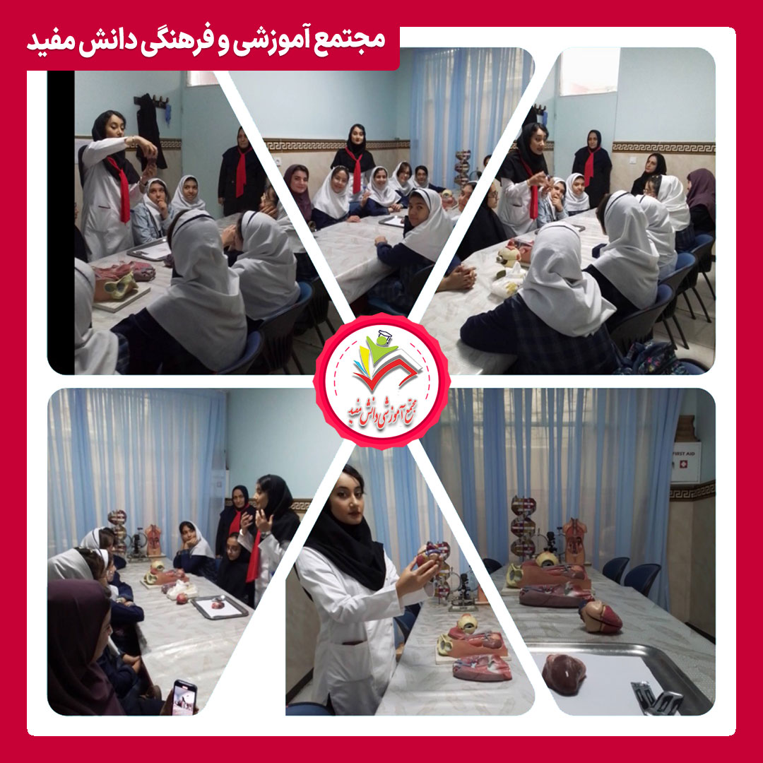 حضور دانش آموزان پایه ششم در دبیرستان دوره اول - آزمایشگاه زیست (تشریح قلب)
